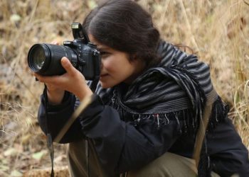 Ji Pênûsa Gerîla – Parek ji nêrgizan