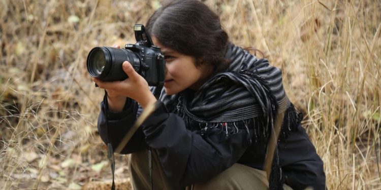 Ji Pênûsa Gerîla – Parek ji nêrgizan