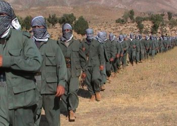 Sîsê: Ez Dixwazim Weke şehîd Bêrîtan Bibim Gerîla – 8