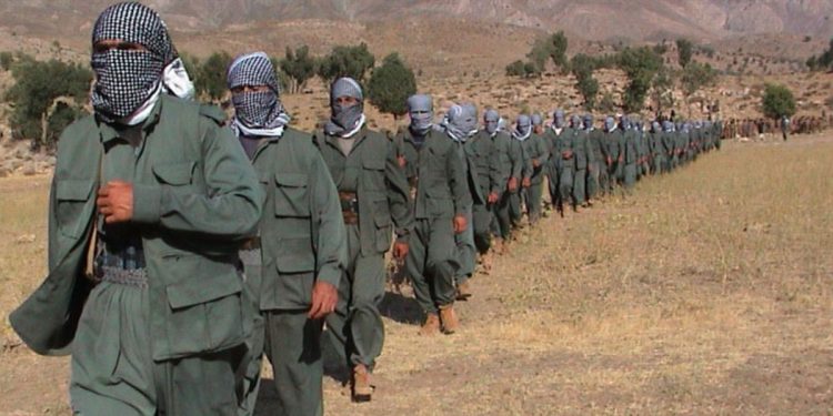 Sîsê: Ez Dixwazim Weke şehîd Bêrîtan Bibim Gerîla – 8