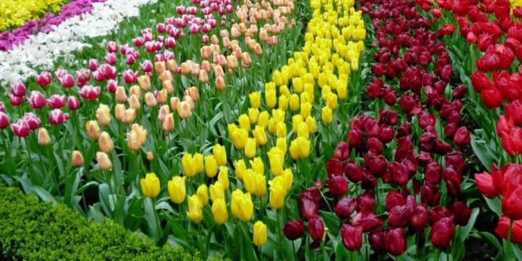 Konfederalîzma demoqratîk û erkên demê: Dibêjin konfederalîzma demokratîk dişibe dewletê -21