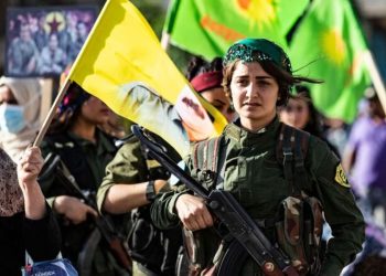 Konfederalîzma demoqratîk û erkên demê: Meclîsên Eyalet-Herêman -16