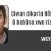 Ciwan dikarin Rêber, welat û hebûna xwe rizgar bikin