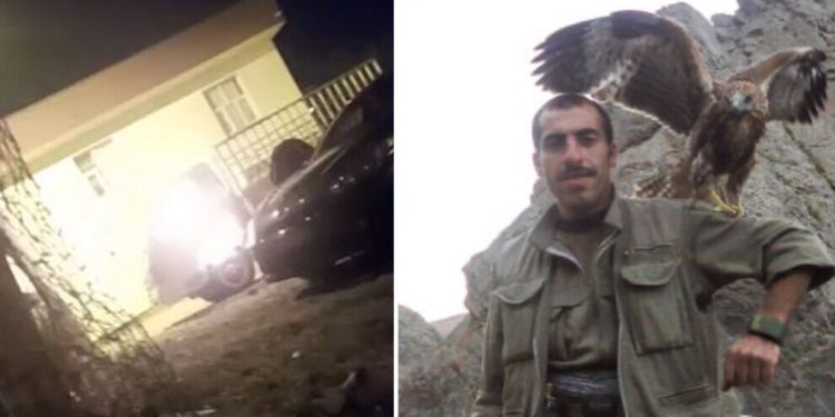 Yekîneya Tolhildanê ya Şehîd Sîrwan Sine çalakî kir