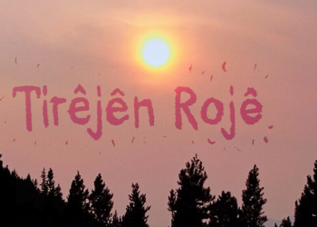 TêkoJIN’ê klîbek li ser birêxistinbûna ji bo têkoşînê ya jinan derxist