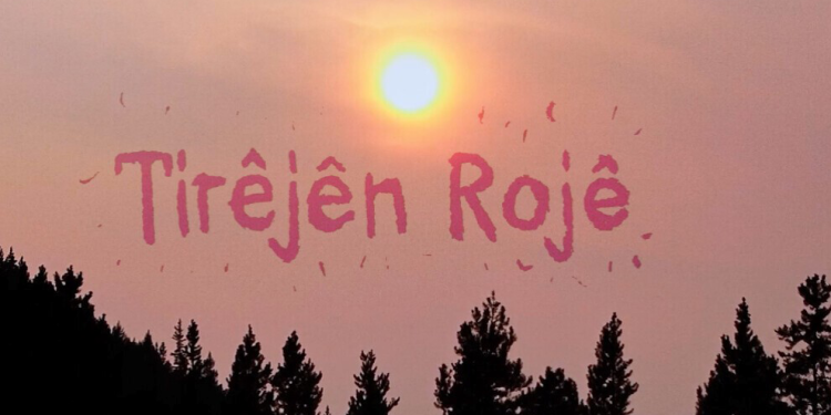 TêkoJIN’ê klîbek li ser birêxistinbûna ji bo têkoşînê ya jinan derxist