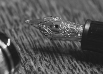 Selahattîn Erdem– Dewleta TC’yê li dijî Kurdan çekên qedexe bi kar tîne