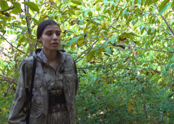 Ronahî Kurdisan; “Pêwîste her kes berê xwe bide vê cengê”