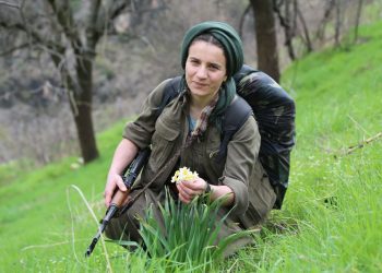 Nameya şehîd Sara Tolhildan a ku çalakiya fedayî li Mersînê pêk aniye