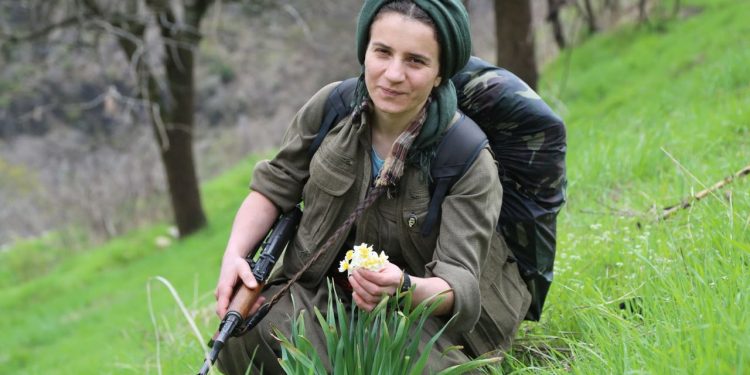 Nameya şehîd Sara Tolhildan a ku çalakiya fedayî li Mersînê pêk aniye