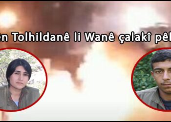 Tîmên Tolhildanê li Wanê çalakî pêk anîn