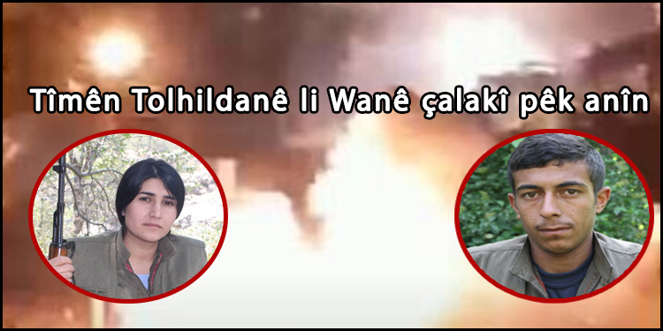 Tîmên Tolhildanê li Wanê çalakî pêk anîn