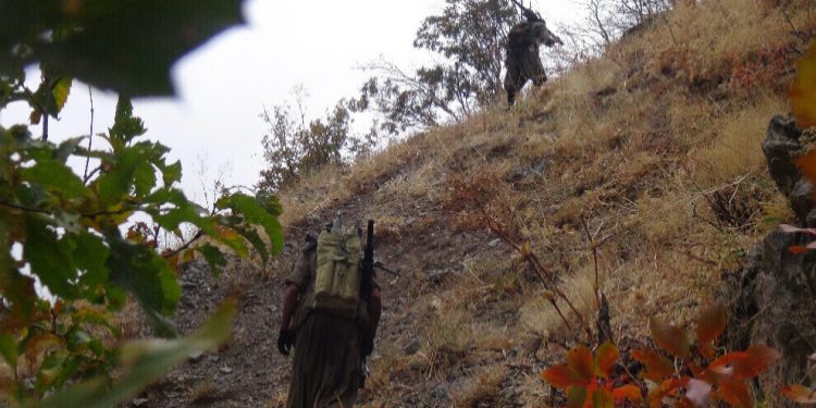 HPG: Tîmên tevger dargirkerek cezakir û çeperek îmhakir