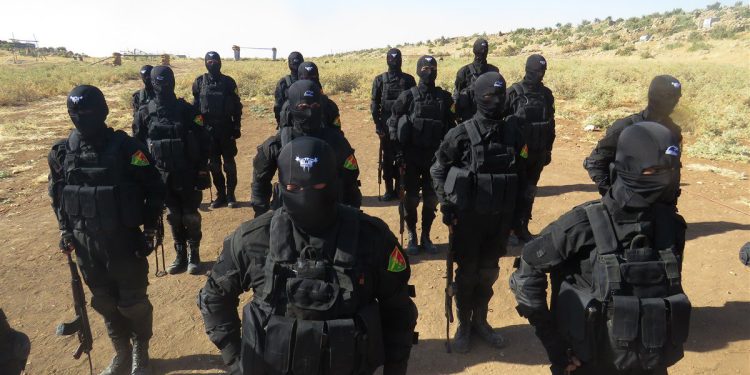 Hêzên Şengalê li dijî sîxuran dest bi operasyonê Tolhildanê kirin