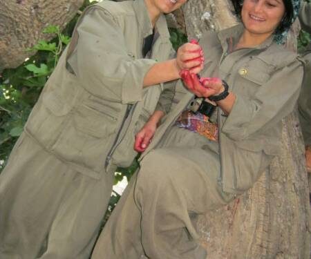 HPG şehadeta 5 gerîlayên YJA Star li herêma Besta ya Botanê eşkerê kir