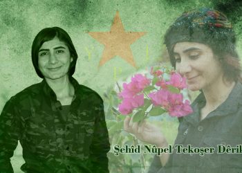 YPJ şehadeta şervana wan Nûpel Têkoşer Dêrik (Sena Elî) eşkere kir