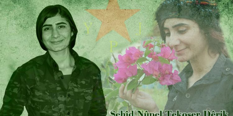 YPJ şehadeta şervana wan Nûpel Têkoşer Dêrik (Sena Elî) eşkere kir