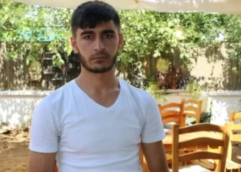 Bazên Metropolan li navçeya Sûr a Amedê dijî nokeran çalakî kir