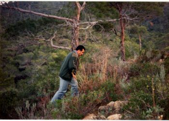 Alternatîfa stratejîk, hêvî û baweriya mirovahiyê