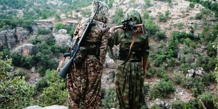 HPG: Tevî krîsa erdhêj êrişên arteşa tirk didominen – Gerîla dagirkerek ceza kir