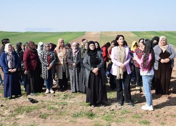 Jin li Dêrîkê 3 hezar û 800 daran çandin