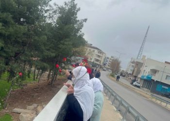 Şehîden Newroza 1992’yan li Nisêbîn hatin bibîranîn