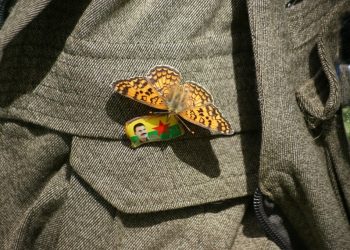 Bedelê azadiyê jî heye