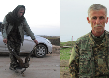 YPG: Fermandarê mezin hevrê Fazil ji Botanê heta bi Zagros, Zap, Asos û Rojava, li çar aliyên Kurdistanê bê hesap têkoşiya