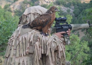 HPG: Êrîşên dagırkeriyê dewam dike – 1 dagirker hate cezakirin