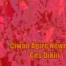 Taybet – Ciwan Agirê Newrozê geş dikin