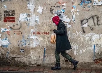 Rêjeya betaliya ciwanan li tirkiyê  ji sedî 20 bihûrî