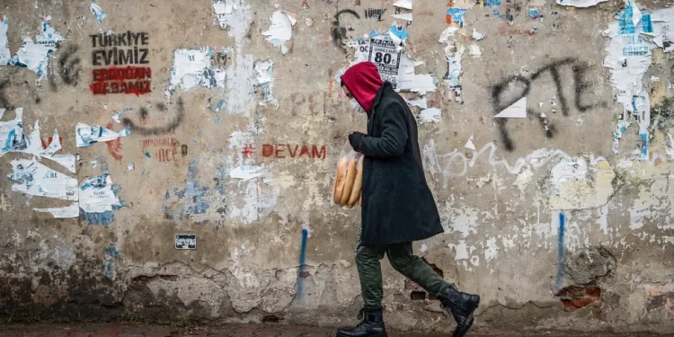 Rêjeya betaliya ciwanan li tirkiyê  ji sedî 20 bihûrî