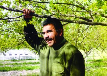 ‘Zayîna li ser xaka Xwedawendan’