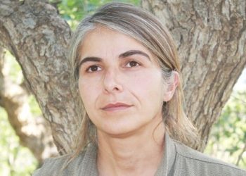 Çîgdem Dogû: Divê Ciwan enerjiya xwe ya azadiyê bidin partiya çepên kesk