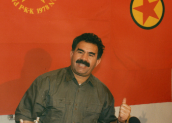 Vîna herî mezin tevlî nav şoreşê bû