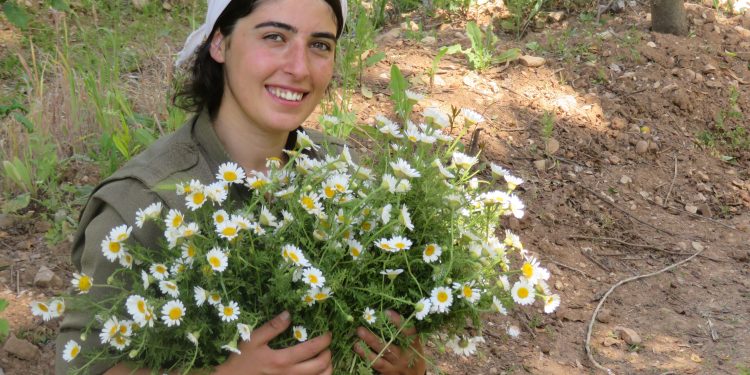 Ev Bîranîna Hevalan Her Di Bîramin de ye – Ji penûs ê Gerîla Nuda Tolhildan