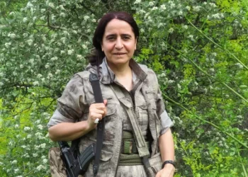 Zozan Çewlîg: Li Zapê qediyan, li Enqereyê jî wê biqedin