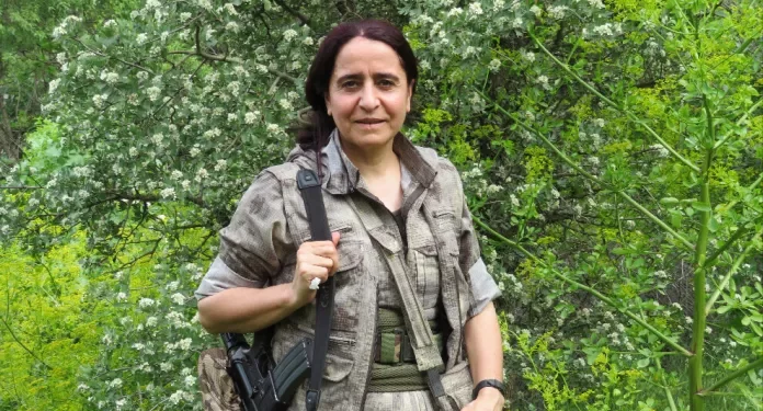 Zozan Çewlîg: Li Zapê qediyan, li Enqereyê jî wê biqedin