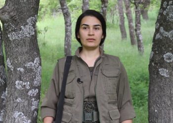 ‘Serhildanên li Îranê li ser xeta Şîrîn Elemhûlî bi rêxistin bûye’