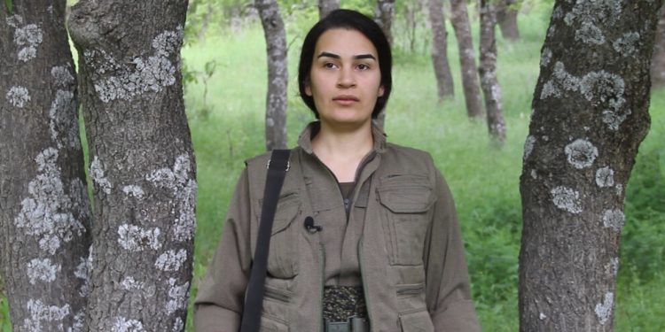 ‘Serhildanên li Îranê li ser xeta Şîrîn Elemhûlî bi rêxistin bûye’