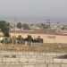 Artêşa Iraqê rêya ketina Mexmûrê bi temamî li çûn û hatinê girt
