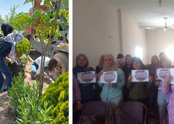 Li Qinê û Kobanê Xebatên “Jin Jiyan Azadî Serbixe Azadî”