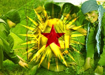 Komîteya Ekolojiyê ya KCK’ê: ‘Kevir  ji AKP’ê re, deng ji Partiya Çepên Kesk re’