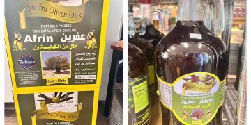 Zeytûnên Efrînê li bazara cîhanê hatin dizîn