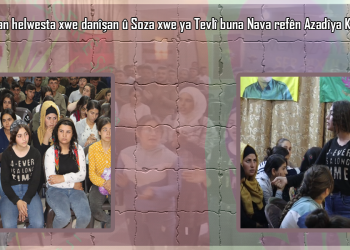 Ciwanên Şehbayê li hev civîyan