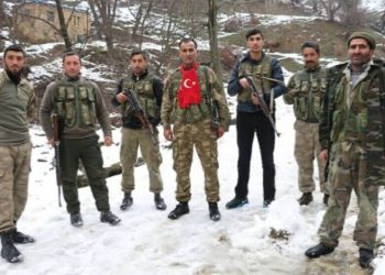 Rêxistina sûc a dewleta Tirk: Cerdevanî