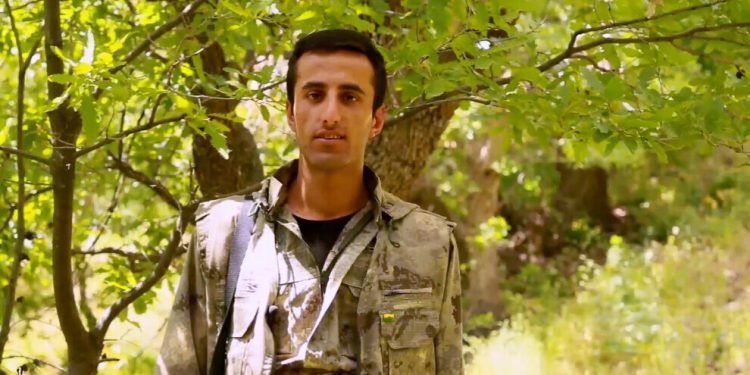 Tolhildan: Em li çiyê li ser xeta şehîd Zîlan têdikoşin