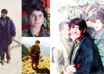 Fîlîz a Kurdistanê, Gulan a têkoşîna azadiyê