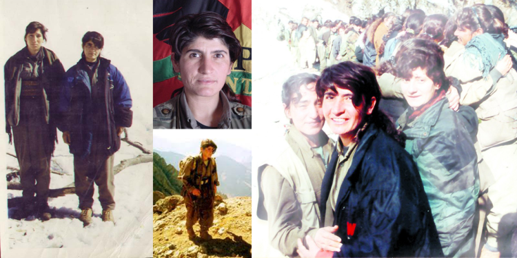 Fîlîz a Kurdistanê, Gulan a têkoşîna azadiyê