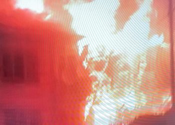 Înîsiyatîfa Jinên Tolhildêr li dijî tecrîda Îmraliyê li 2 bajaran çalakî kirin